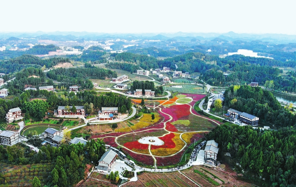 南充市南部县争当乡村振兴发展排头兵